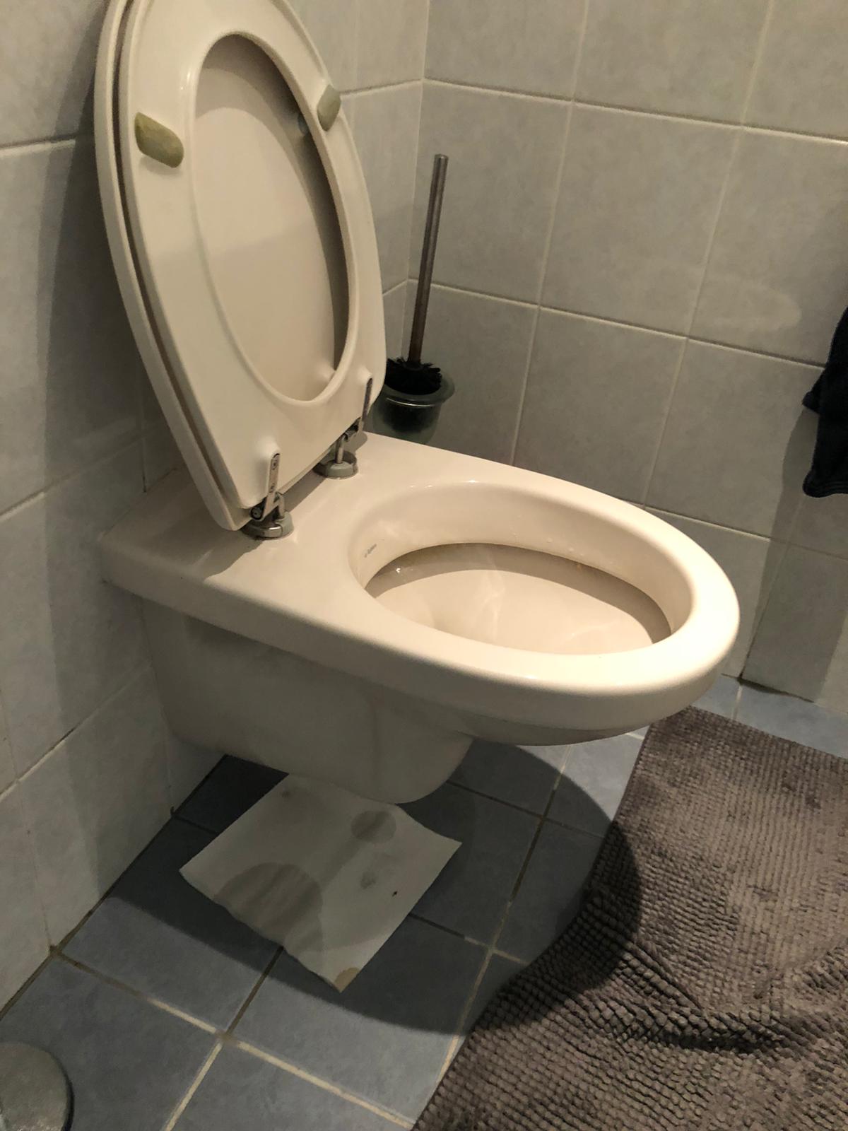 hangtoilet Didam